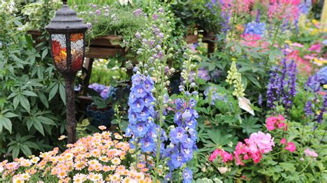 Wildflower Perennial Shade Garden