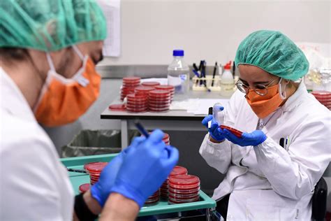 Bacteria that help humans