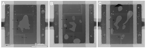 Microstructure Influence of SACX0307-TiO2 Composite Solder Joints on ...