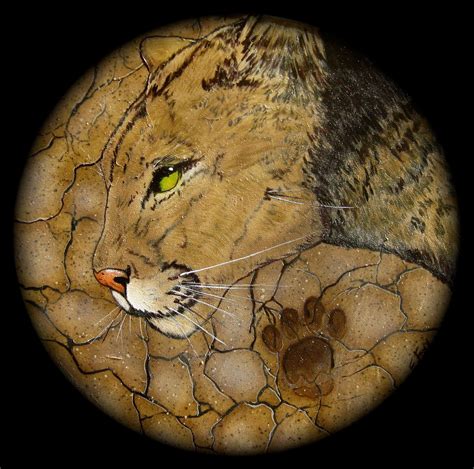 Cougar Medicine Wheel Symbolism Guide