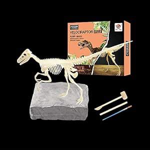 Buy Vibgyor Vibes Dinosaur Fossil Excavation Archaeological Science ...