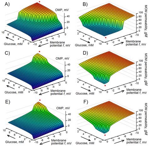 Image result for Negative Membrane Potential