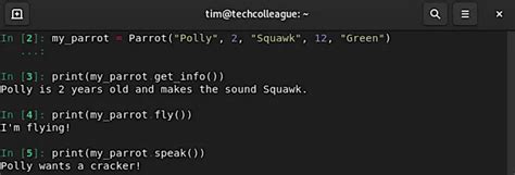 Image result for Inheritance Tree Python