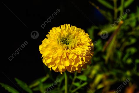 bright pink ted baker purse