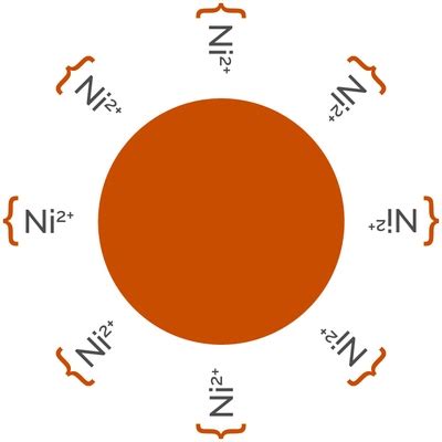 AlphaLISA Nickel Chelate Acceptor Beads, 250 µg | Revvity