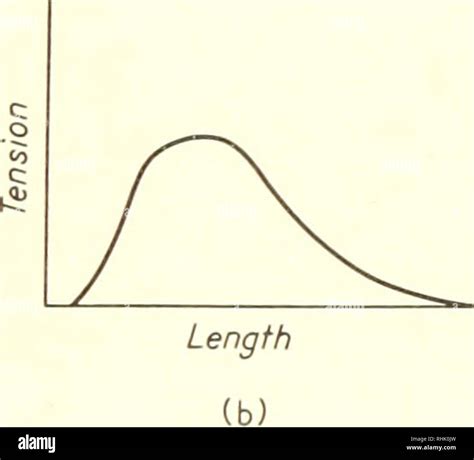 Image result for Isotonic Muscle Contraction