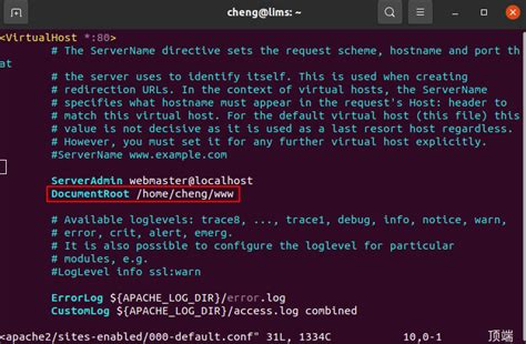 Localhost Example 的图像结果