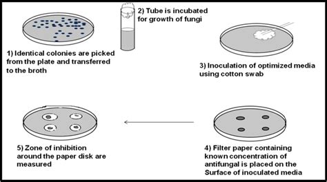 Image result for Agar Plug Diffusion Method