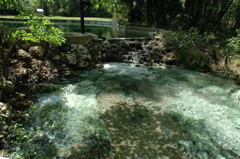 Orange Springs Flow. www.orangespringswater.com | Florida springs ...