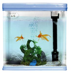 Jainsons MJ1086F Aquarium Toy : Amazon.in: Pet Supplies