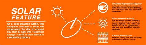 Armitron Adventure Men's AD/1001BKSVGN Solar Powered Date Function Dial ...