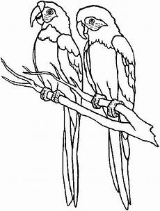 ausmalbilder tiere gratis ausdrucken ausmalbilder tiere gratis 08 vogel malvorlagen ausmalbilder tiere gratis ausdrucken ausmalbilder tiere gratis 08 vogel malvorlagen