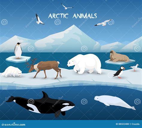 Arctic Ocean Animals List