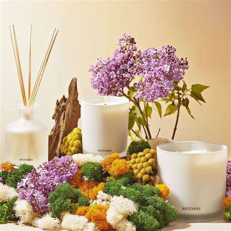 Apotheke White Vetiver 3-Wick Scented Candle | Crate and Barrel UAE