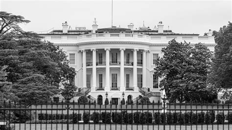 Affirmative Action Brief: Understanding Its Impact - The Policy Circle