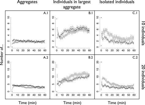 Aggregate Numbers 的图像结果