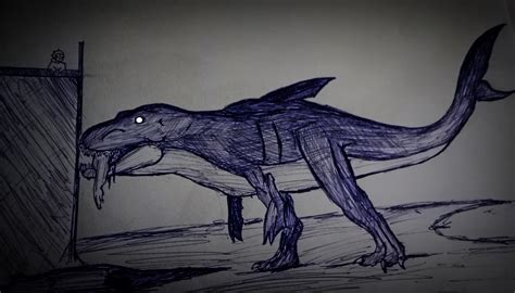 What's the type of this sharks : r/sharks