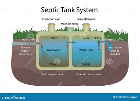 Septic Tank System. Principle of Operation. Stock Vector - Illustration ...