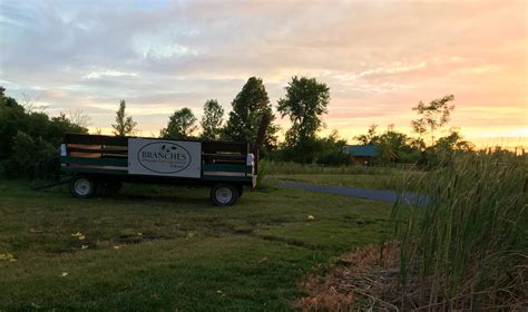 Campground Review: Branches of Niagara Campground & Resort | Travels with Birdy