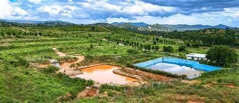 Agriculture Land For Sale in Hosur & South Bangalore - Sambrahma Farms