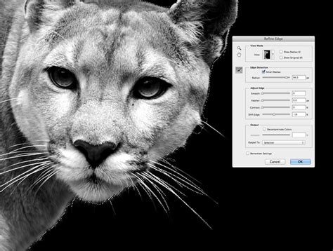 Image result for How to Make Magazine in InDesign