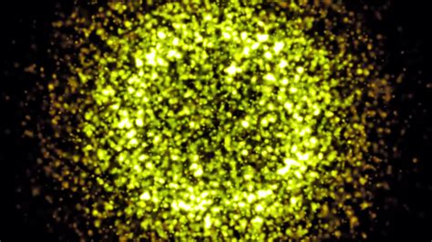 Particle Loop 的图像结果