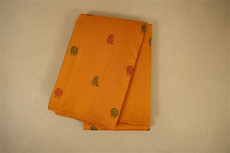 Borderless Kanjivarams – Shreenivas Silks