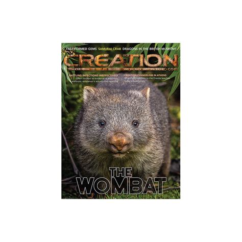 Image result for Creation Magazine Newest Programs