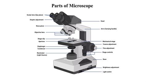 Lecture 3 Unit-I Bright-field & Dark-field Microscopy.pdf
