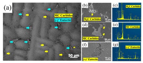 Solidification Segregation Behavior and Homogenization Process of a ...