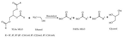 Sustainable Synthesis of Omega-3 Fatty Acid Ethyl Esters from Monkfish ...