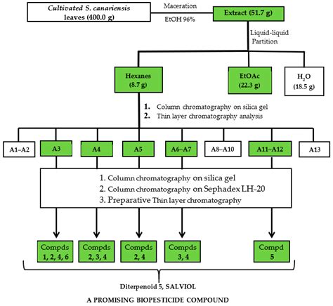 Bioassay-Guided Fractionation Networking for Discovery of Biofungicides ...
