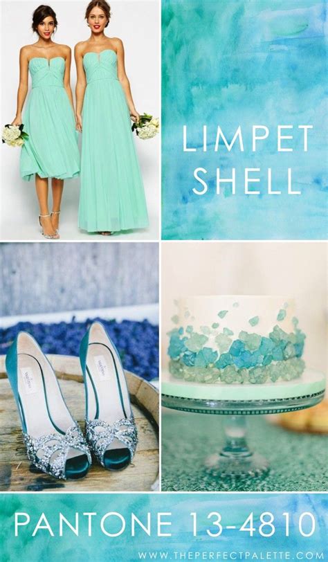 Image result for Limpet Shell Color