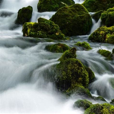山水风景头像，潺潺的溪水与绿色太美了-唯美头像