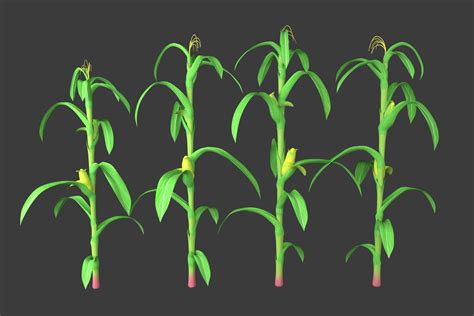 Image result for 3D Maize Generation Code in Pygame