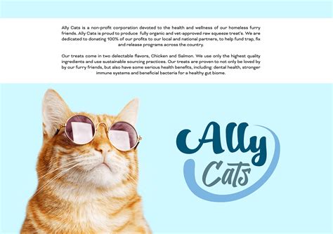 Ally Cats Squeeze Treats on Behance
