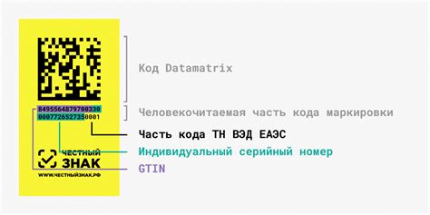 Код datamatrix честный знак как выглядит