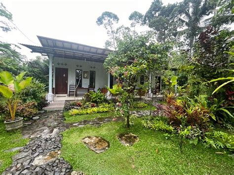 HADI HOMESTAY (Banyuwangi, Java) - Tourist Base Reviews & Photos ...