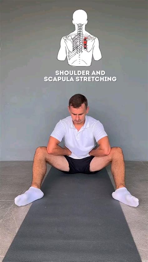 Scapula Stretching 的图像结果