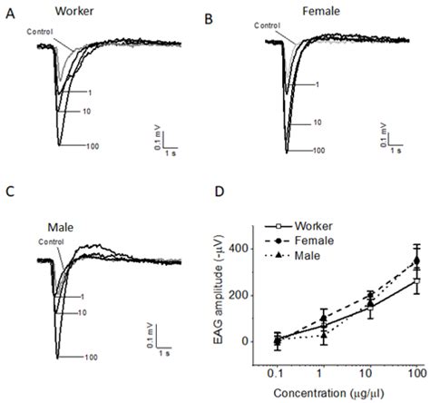 Electrophysiological Responses of Eighteen Species of Insects to Fire ...