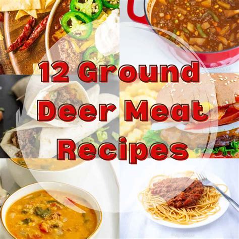 How To Make Ground Deer Meat at Lenore Schwartz blog