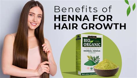 Benefits of Using Henna For Hair Growth – Indus Valley