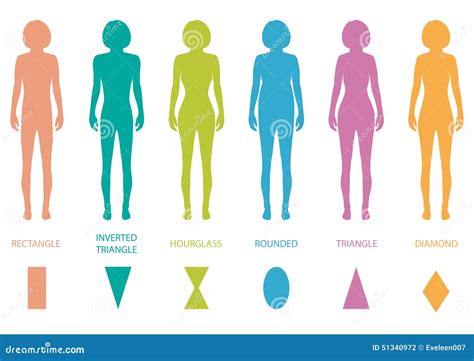 Tipos de cuerpo femenino ilustración del vector. Ilustración de ...