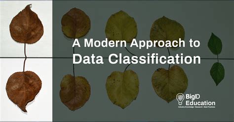 Classification Methods Data Science 的图像结果