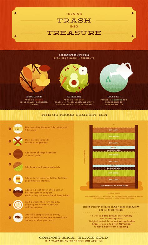 Composting Infographic 的图像结果