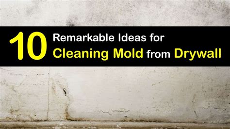 How To Clean Mold From Gypsum Board at Leah Coote blog