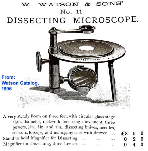Dissecting Microscope Examples 的图像结果