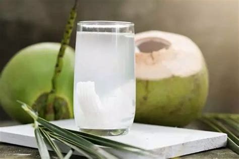manfaat minum air kelapa hijau