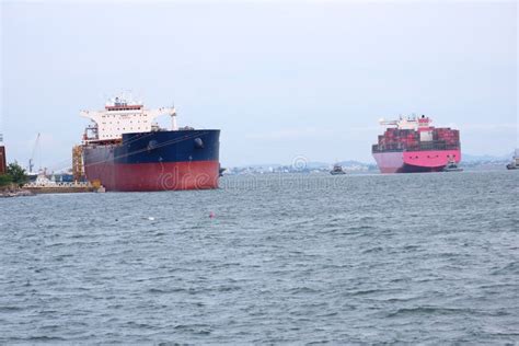 Export 的图像结果