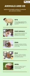 Poster: Domestic Animals - Mathematics for Class 2 (Joyful-Mathematics ...